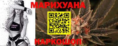 сатива Бузулук