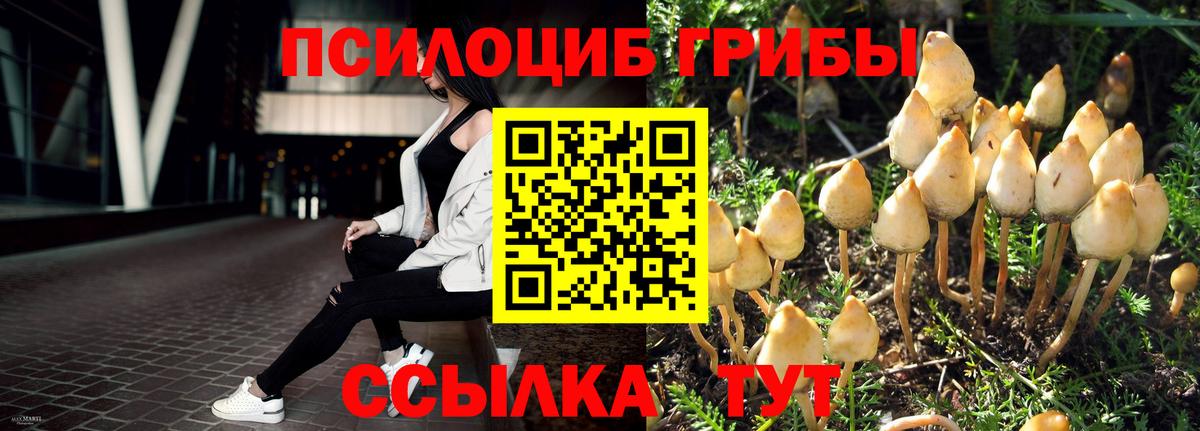 Псилоцибиновые грибы Psilocybe  Вход с VPN  где купить   Псилоцибиновые грибы Cubensis  Кыштым 